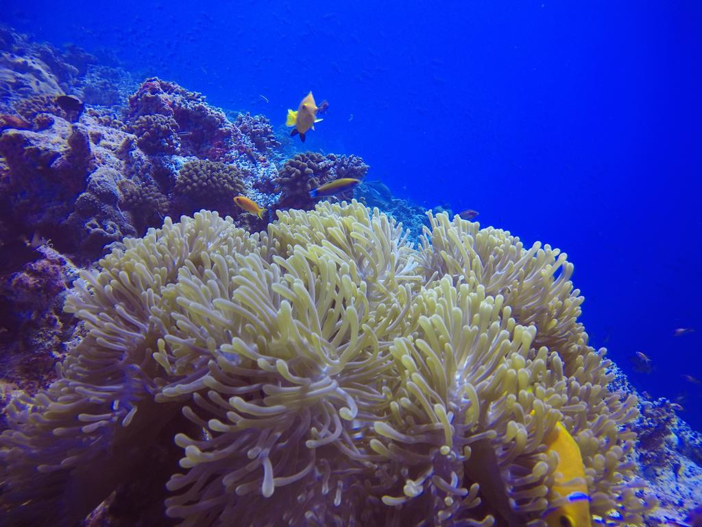 Holiday Home Rasdhoo ภายนอก รูปภาพ