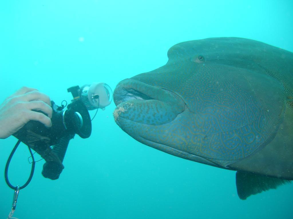 Holiday Home Rasdhoo ภายนอก รูปภาพ