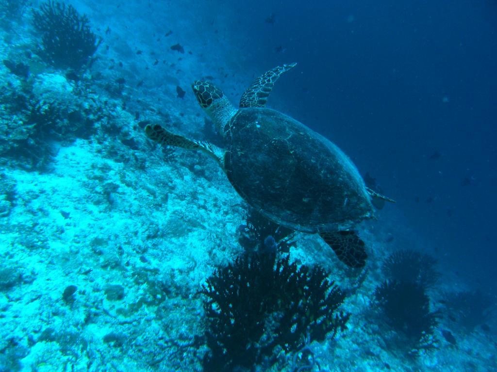 Holiday Home Rasdhoo ภายนอก รูปภาพ