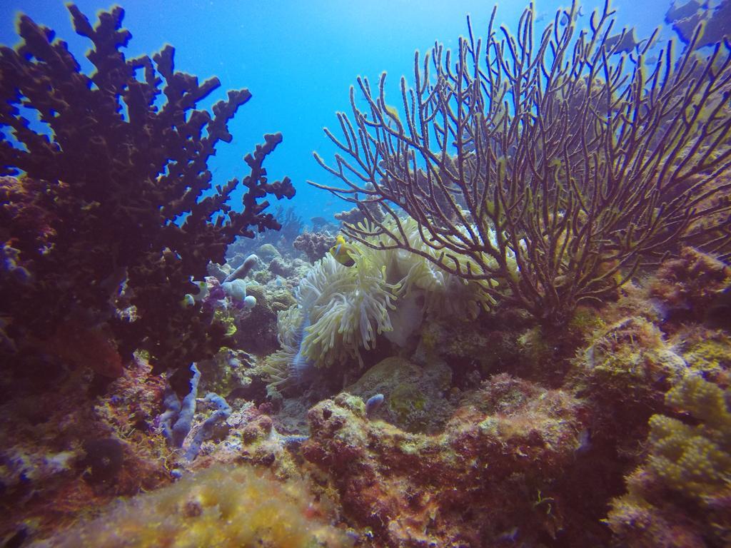 Holiday Home Rasdhoo ภายนอก รูปภาพ