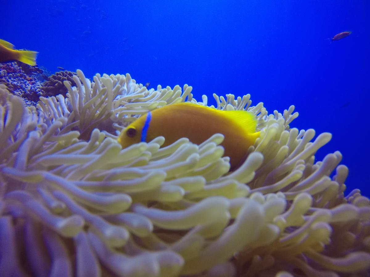 Holiday Home Rasdhoo ภายนอก รูปภาพ