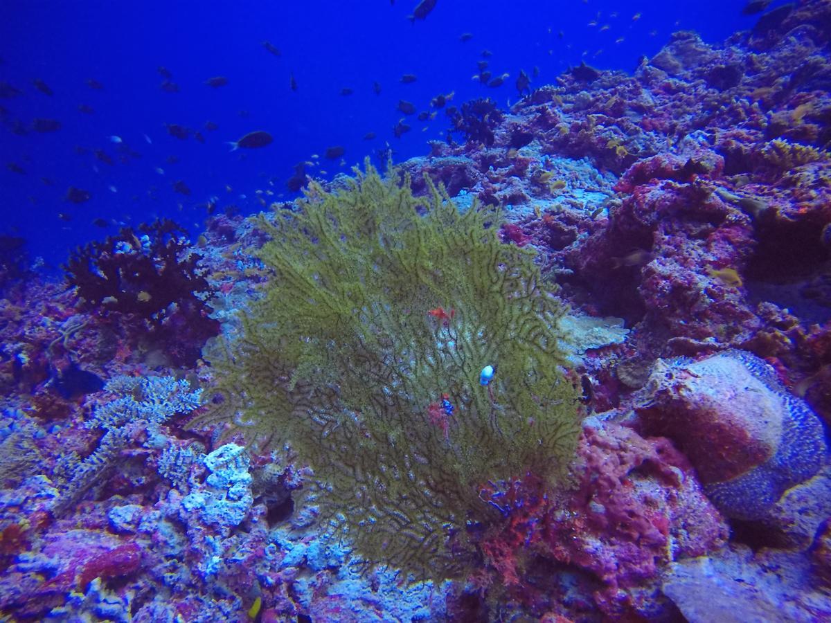 Holiday Home Rasdhoo ภายนอก รูปภาพ