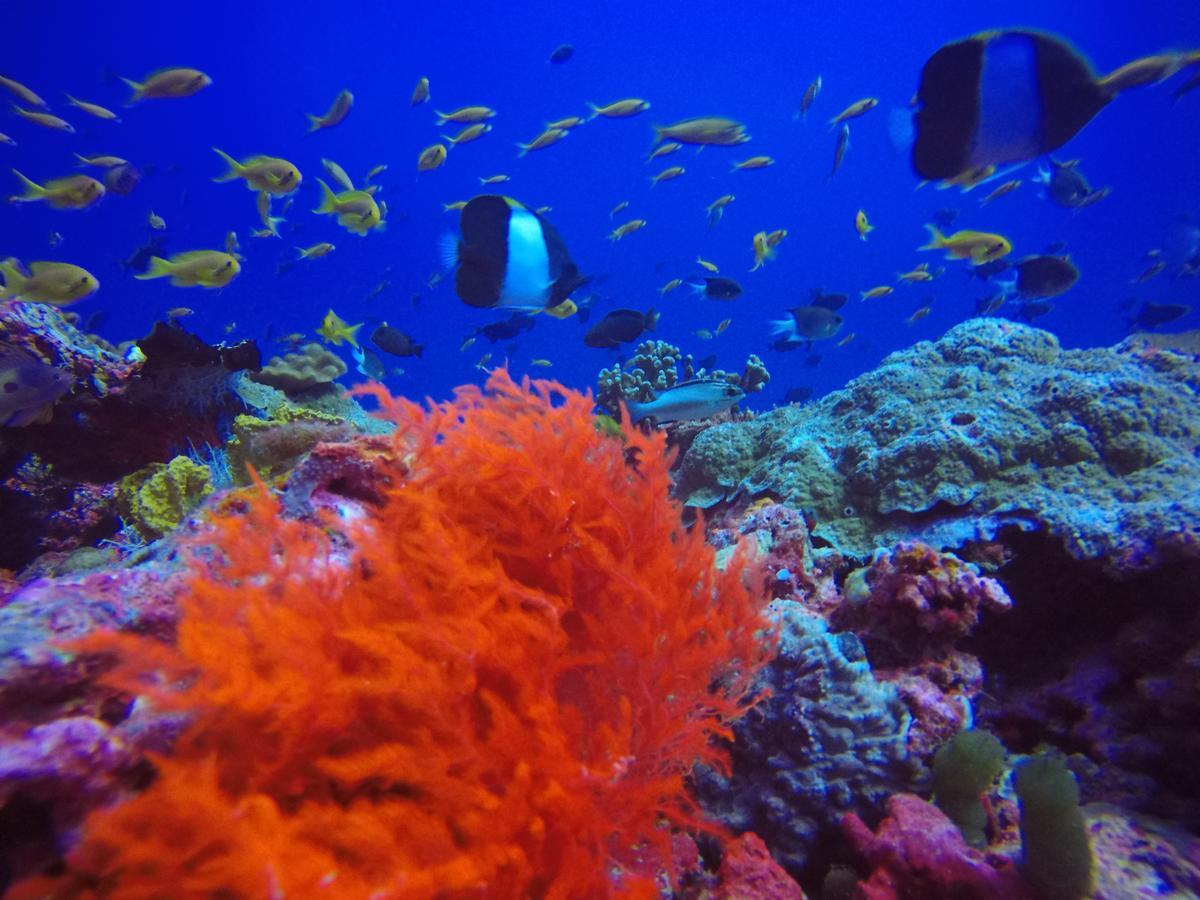 Holiday Home Rasdhoo ภายนอก รูปภาพ
