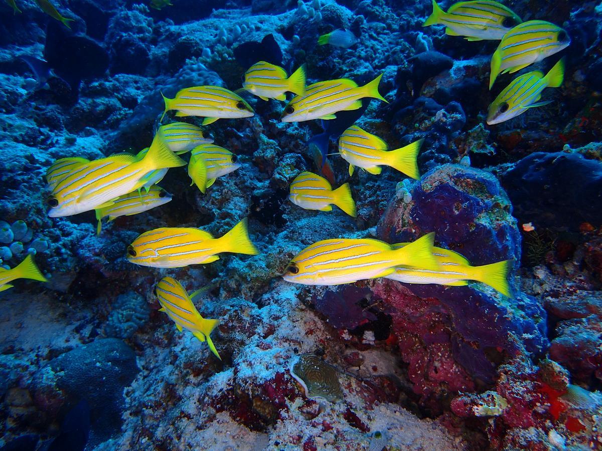Holiday Home Rasdhoo ภายนอก รูปภาพ