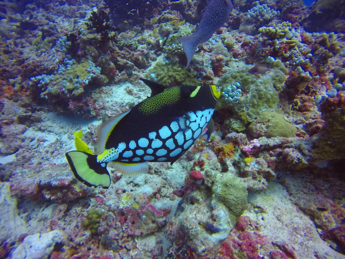 Holiday Home Rasdhoo ภายนอก รูปภาพ